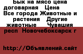 Бык на мясо цена договарная › Цена ­ 300 - Все города Животные и растения » Другие животные   . Чувашия респ.,Новочебоксарск г.